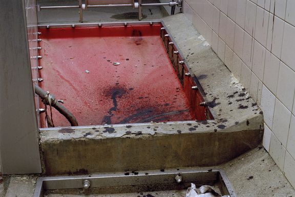 Christiane Nill, Bac de saignées des abattoirs de Malley, 2003, © Christiane Nill, Musée Historique Lausanne.