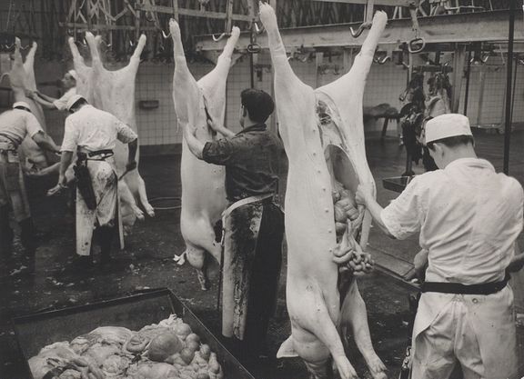 Michel Perrenoud, Abattoirs de Malley, 14.04.1983, © Michel Perrenoud, Archives cantonales vaudoises.