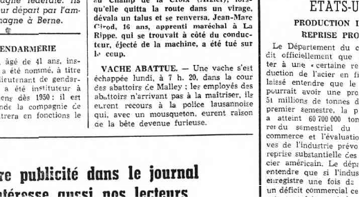 A Malley, il arrive parfois que des animaux s’échappent et rejoignent la voie publique. “Vache abattue”, Gazette de Lausanne, 26.07.1960, p.5, Archives du Temps en ligne.