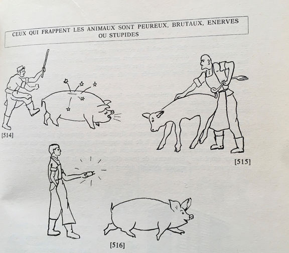 Samuel Debrot, <i>Technologie vétérinaire</i>. Hygiène et production de la viande, 1967.