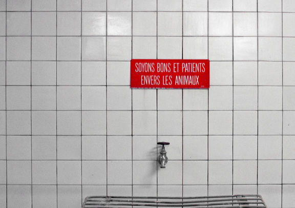 Christiane Nill, Local d’étourdissement du bétail des abattoirs de Malley, 2003, © Christiane Nill, Musée Historique Lausanne.